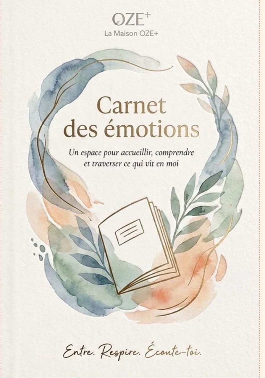 Couverture de Carnet des Émotions de Carine Stéphanie Biafle